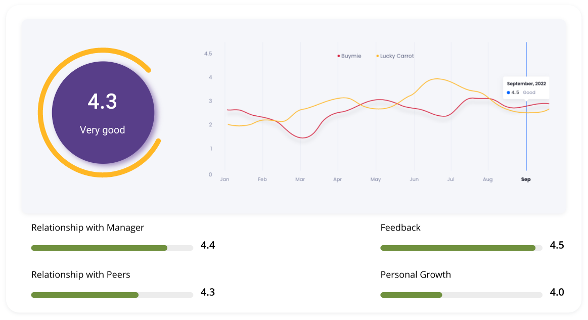 Measure Employee Engagement